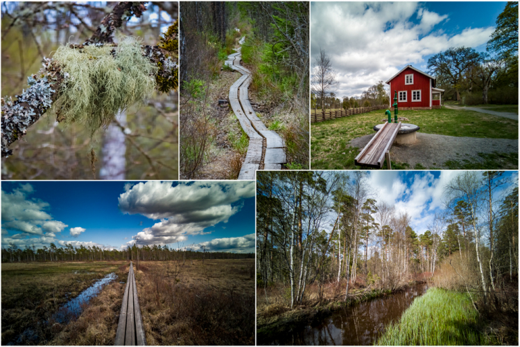 Store Mosse Nationalpark